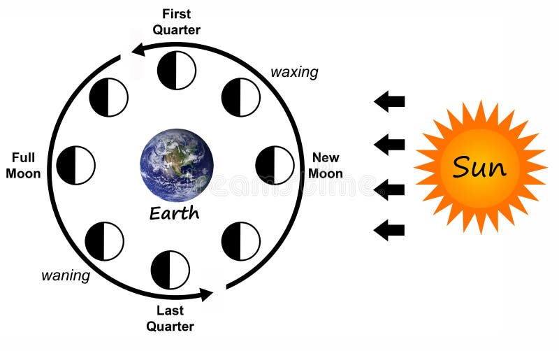 Moon phases