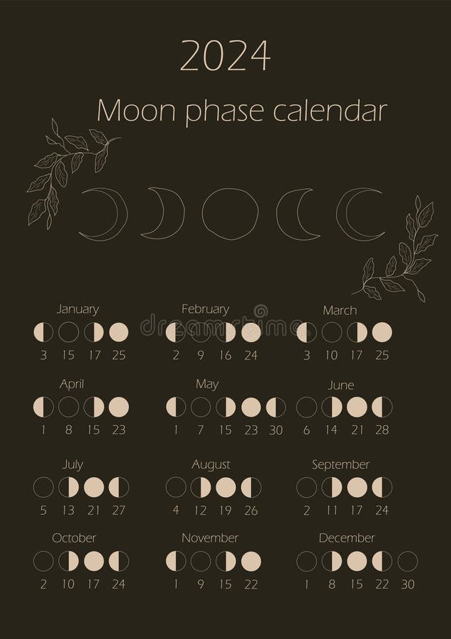 Moon phases calendar 2024. stock illustration. Illustration of