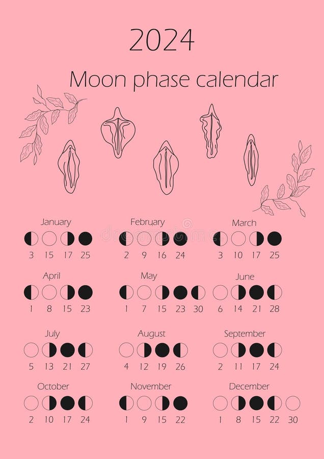 Moon Phases 2024 Stock Illustrations 84 Moon Phases 2024 Stock