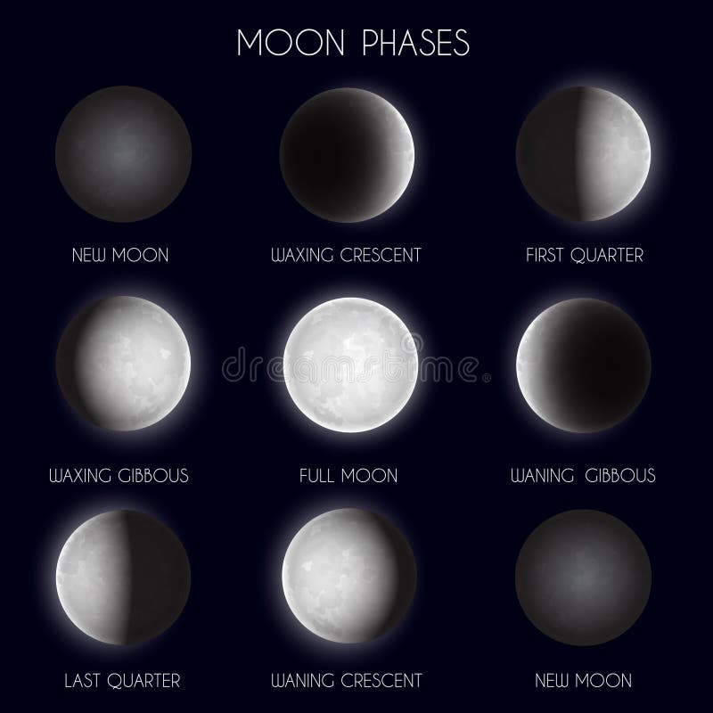 Moon Phases Night Sky Space Astronomy Stock Vector - Illustration of ...