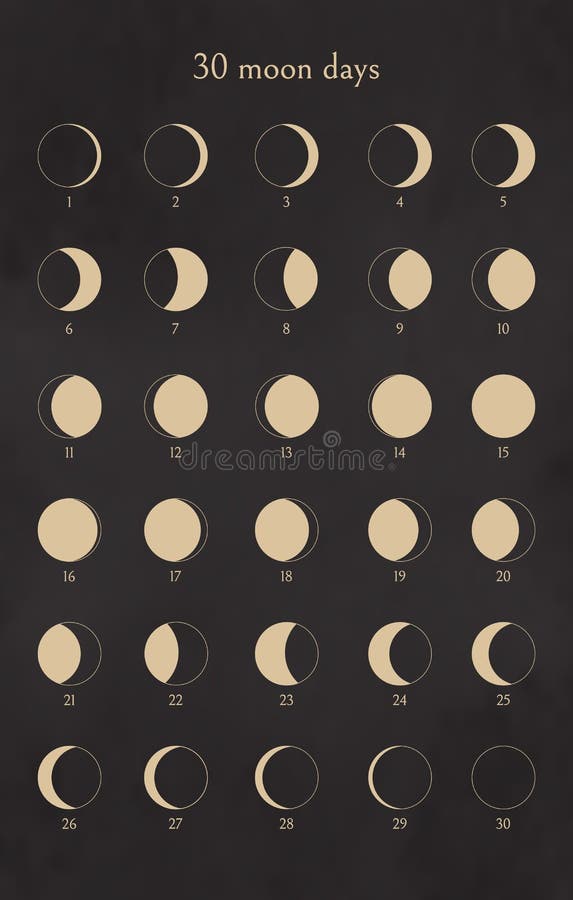 Phases moon This month's