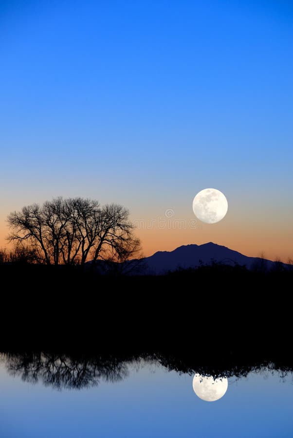 Fantasy Reflected Riparian Tree and Full Moon in Evening Blue at Wildlife Refuge. Fantasy Reflected Riparian Tree and Full Moon in Evening Blue at Wildlife Refuge