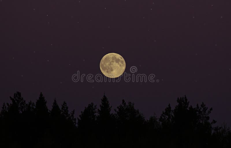 Moon in the sky and stars stock images Moon in the sky and stars stock images