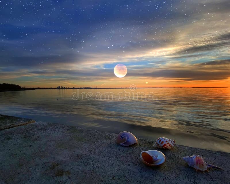 Moon on starry sky sunset at sea Tallinn old town  on horizon seashell on beach travel to Estonia