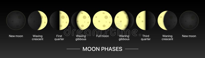 Moonlight Movement Calendar Horizontal Banner. Moon Phases Chart Vector ...