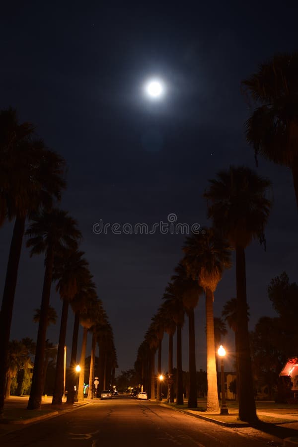 130 Moonlit Street Photos Free & RoyaltyFree Stock Photos from