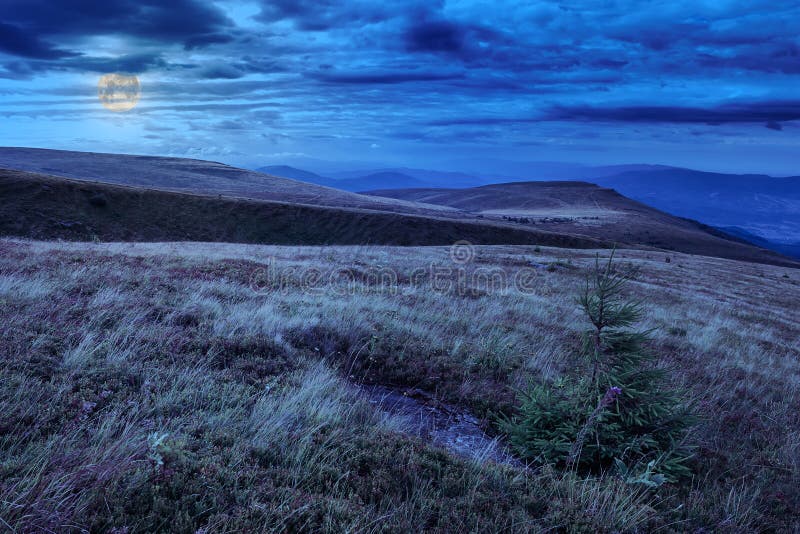 Moonlight on stone mountain slope with forest