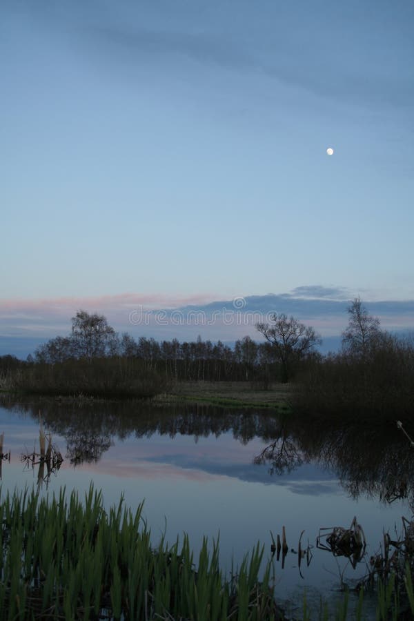 Moonlit Reflections on a Calm Lake at Dusk royalty free stock photo