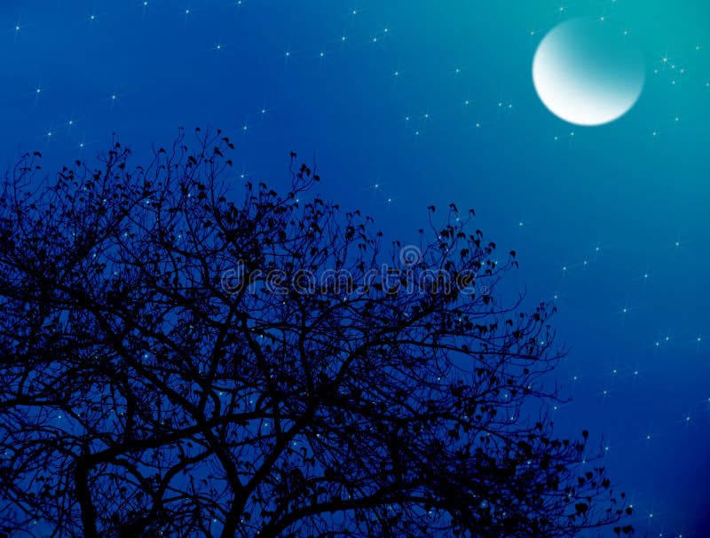 Moonlit Starry Night Stock Illustration Illustration Of Winter 120245556