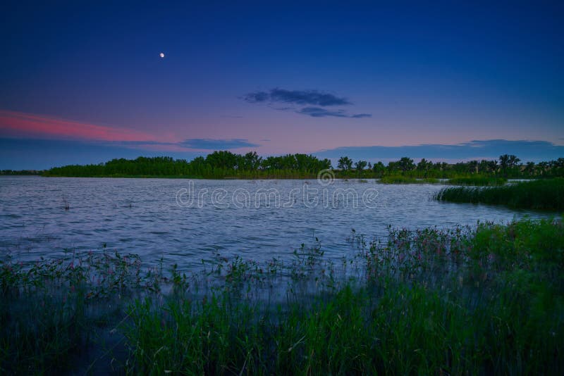 Oliver Lake Stock Photos Free & RoyaltyFree Stock Photos from Dreamstime