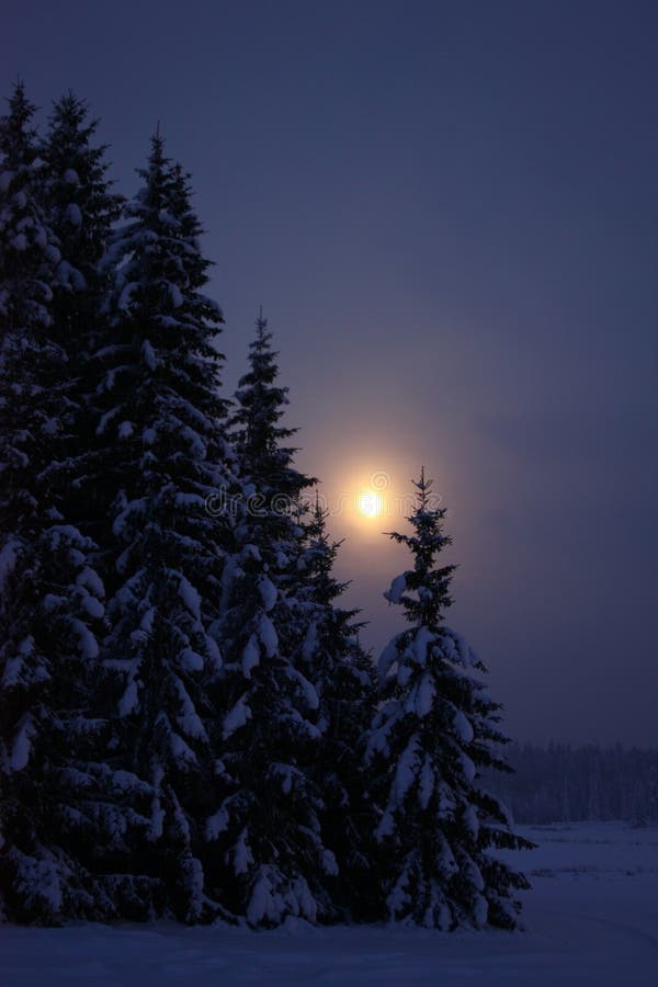 Moonrise at winter evening countryside