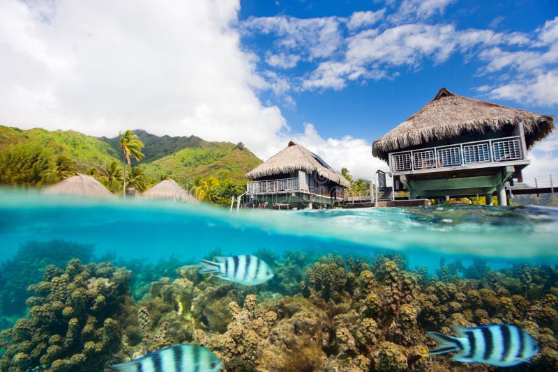 Moorea landscape