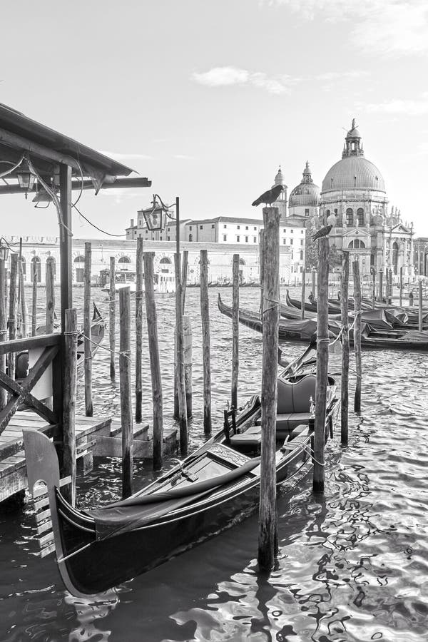 Gondolas and Santa Maria della Salute church in Venice