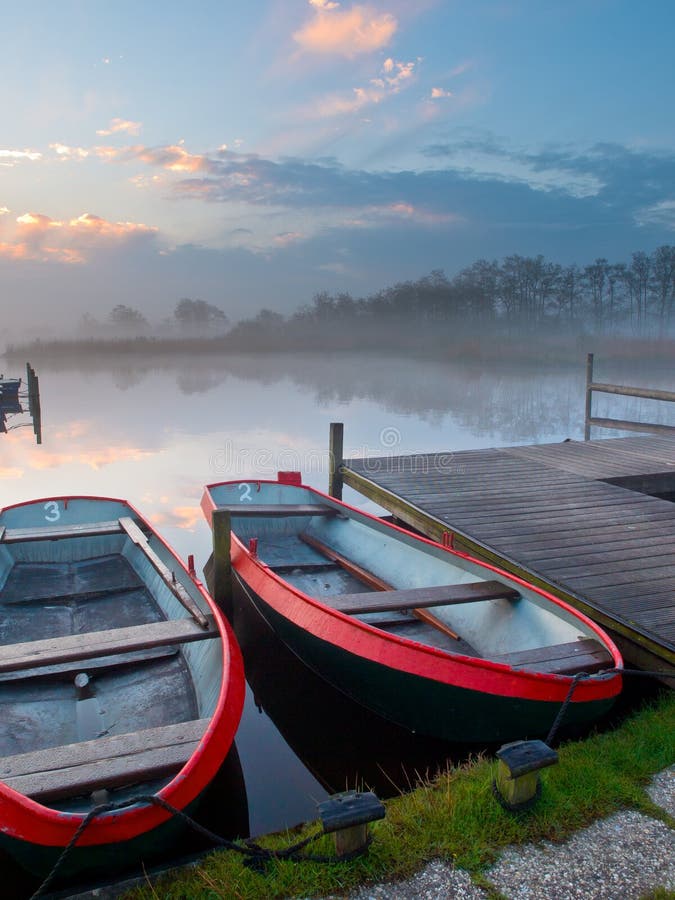 bow of a rowing boat in a swamp stock photo - image of