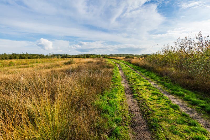 Moorland, paesaggio del muschio di torba nel parco nazionale di Groote Peel, Limburgo, Paesi Bassi Gamma dinamica elevata, HDR.