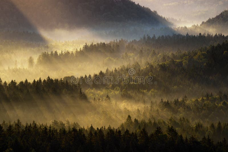 Moorwald während Herbstsonnenaufgang, Sachsen Schweiz, Deutschland lizenzfreie stockfotografie Moorwald während Herbstsonnenaufgang, Sachsen Schweiz, Deutschland lizenzfreie stockfotografie