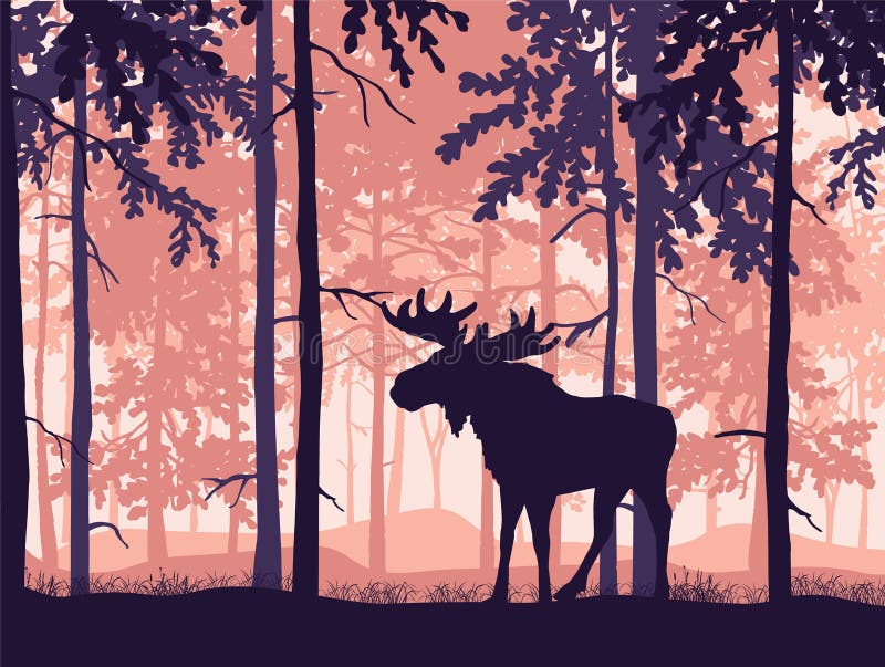 Moose with antlers posing, forest background, silhouettes of trees. Magical misty landscape.