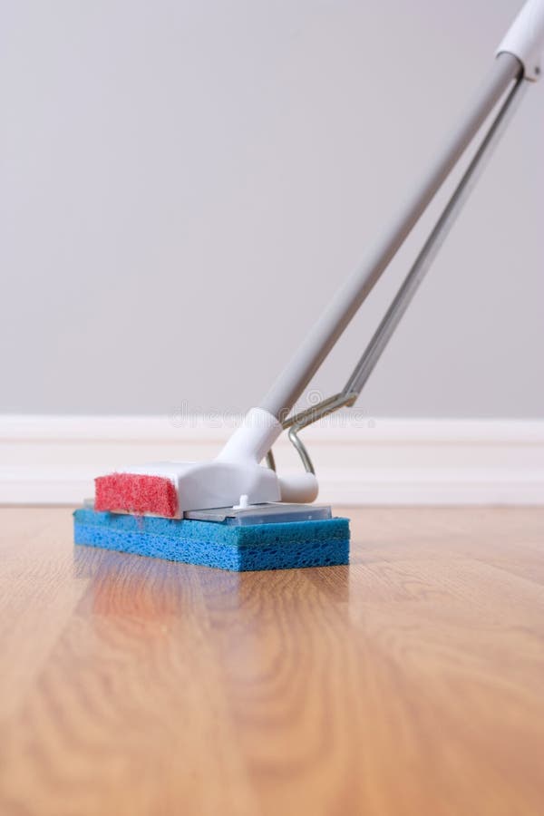 Mop and Bucket stock image. Image of lino, checkered 24708399