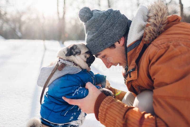 Mopshund som går på snö med hans förlage Bärande vinterlag för valp Man som kramar hans husdjur i vinterskog arkivbild Mopshund som går på snö med hans förlage Bärande vinterlag för valp Man som kramar hans husdjur i vinterskog arkivbild