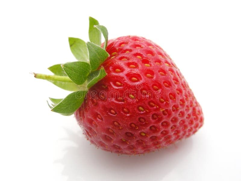 Morango imagens de stock royalty free Morango imagens de stock royalty free