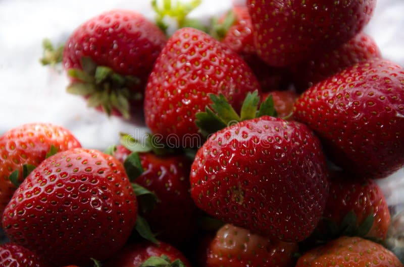 Morango doce super; s com partes superiores verdes com exibição dois fora imagens de stock