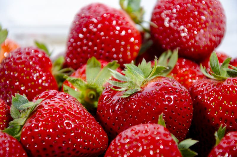 Morango doce super vermelha; s com partes superiores verdes imagens de stock