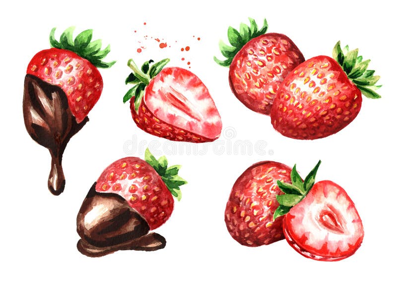 Morango madura das bagas com grupo do chocolate Ilustração tirada mão da aquarela isolada no fundo branco ilustração stock Morango madura das bagas com grupo do chocolate Ilustração tirada mão da aquarela isolada no fundo branco ilustração stock