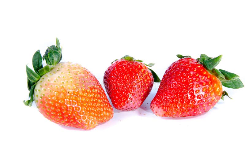 Morango três doce super; s com partes superiores verdes fotografia de stock
