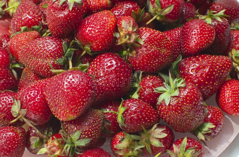 Morangos em uma placa imagem de stock