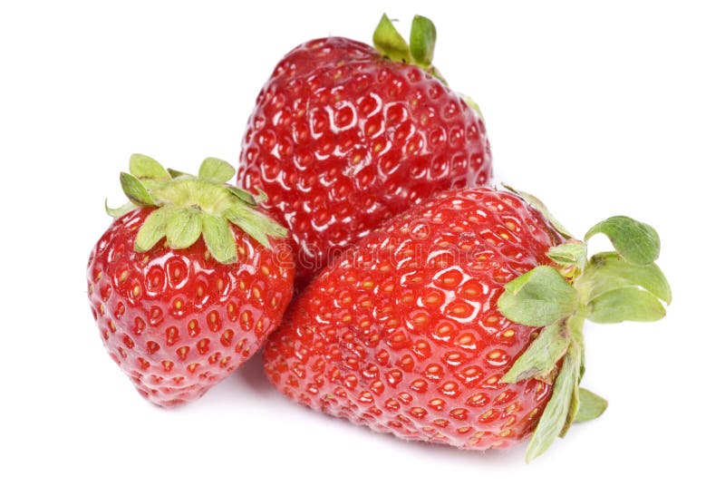 Morangos frescos fotografia de stock royalty free