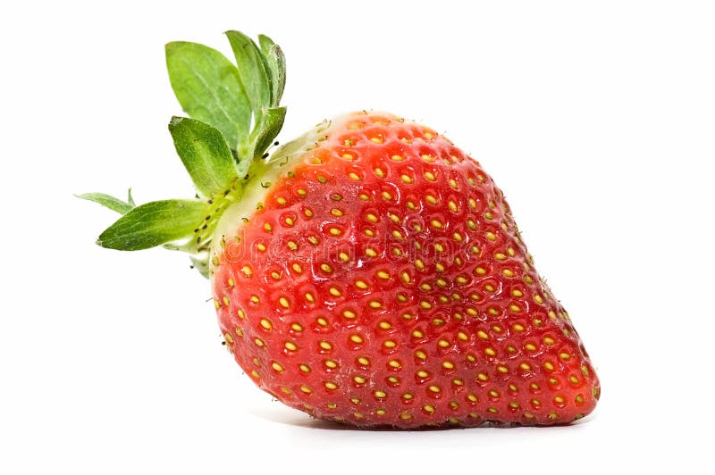 Morangos frescos foto de stock