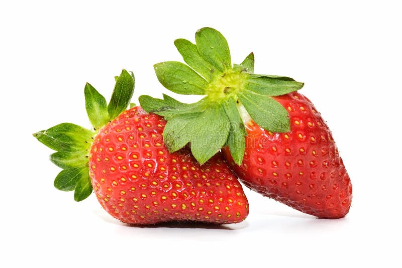 Morangos frescos imagem de stock royalty free