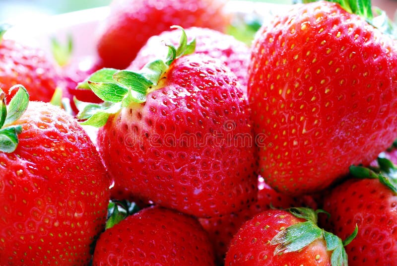 Morangos frescos fotos de stock