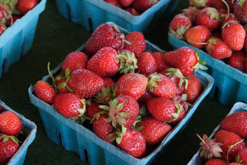 Morangos frescos fotos de stock