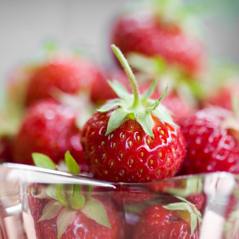 Morangos frescos imagem de stock