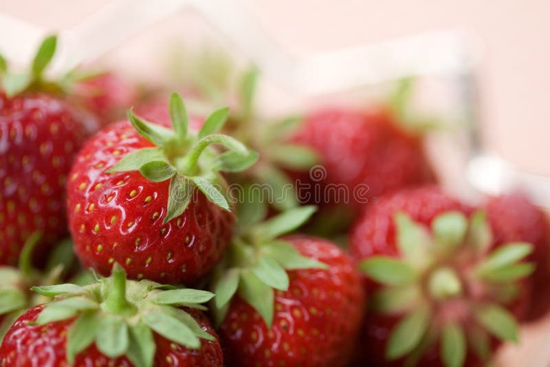 Morangos frescos fotos de stock royalty free