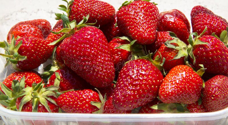Morangos frescas na bacia fotografia de stock royalty free