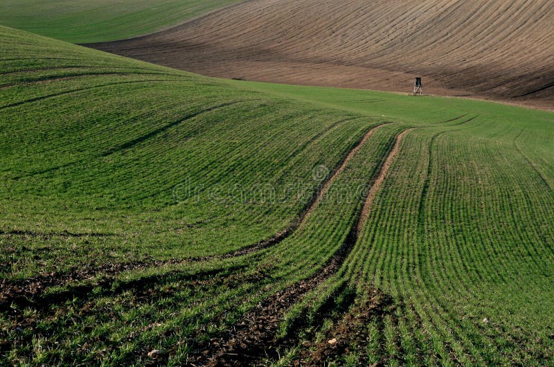 Moravian Fields III royalty free stock image