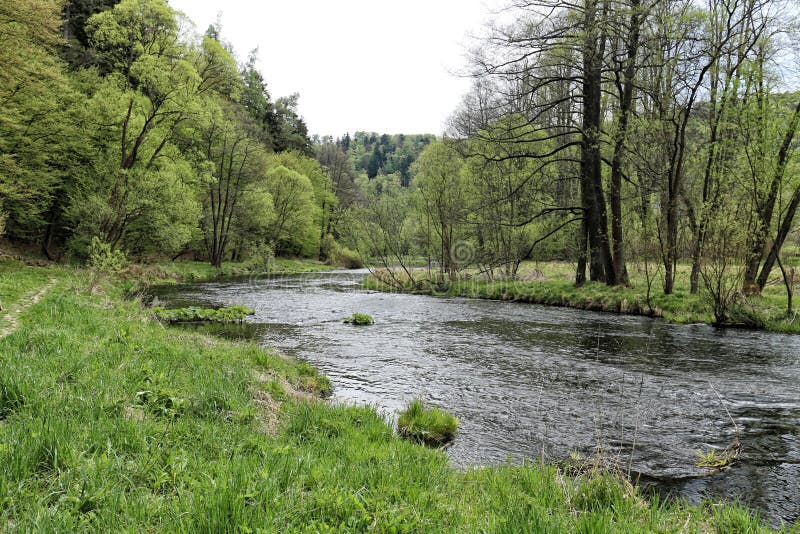 meander meadows meander meadows
