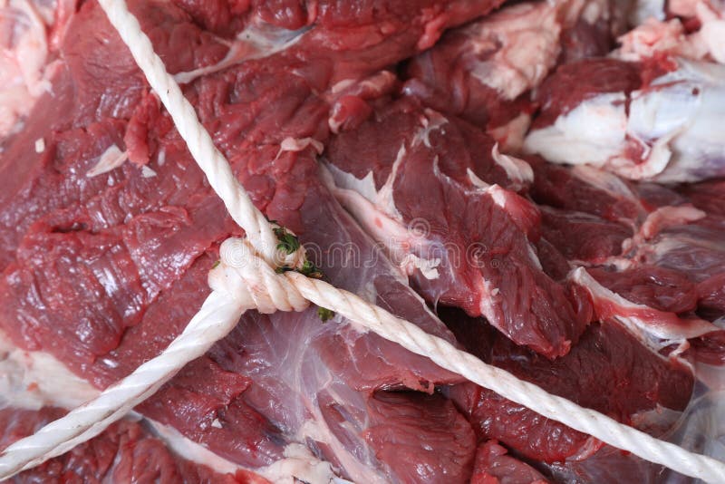 Morceau en gros de viande fraîche de boeuf et de corde blanche images stock Morceau en gros de viande fraîche de boeuf et de corde blanche images stock