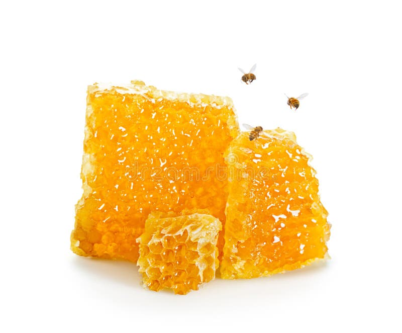 Morceaux de nid d'abeilles avec des abeilles volant autour sur le fond blanc photos stock Morceaux de nid d'abeilles avec des abeilles volant autour sur le fond blanc photos stock