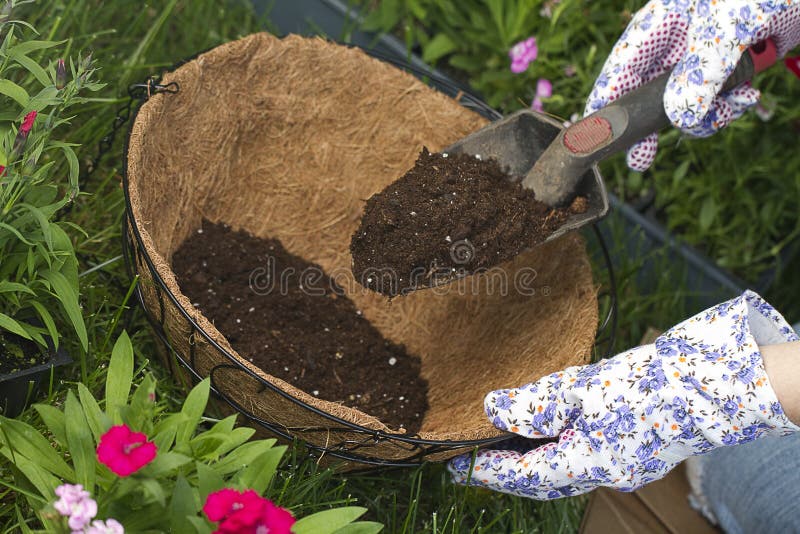 More potting soil