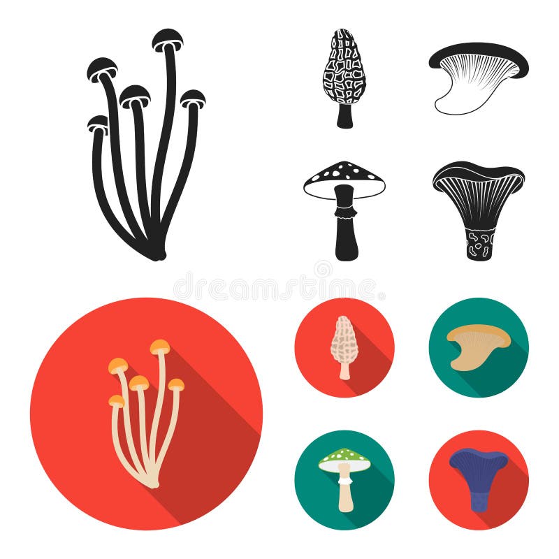 Morel, oyster, green amanita, actarius indigo.Mushroom set collection icons in black,flat style vector symbol stock royalty free illustration