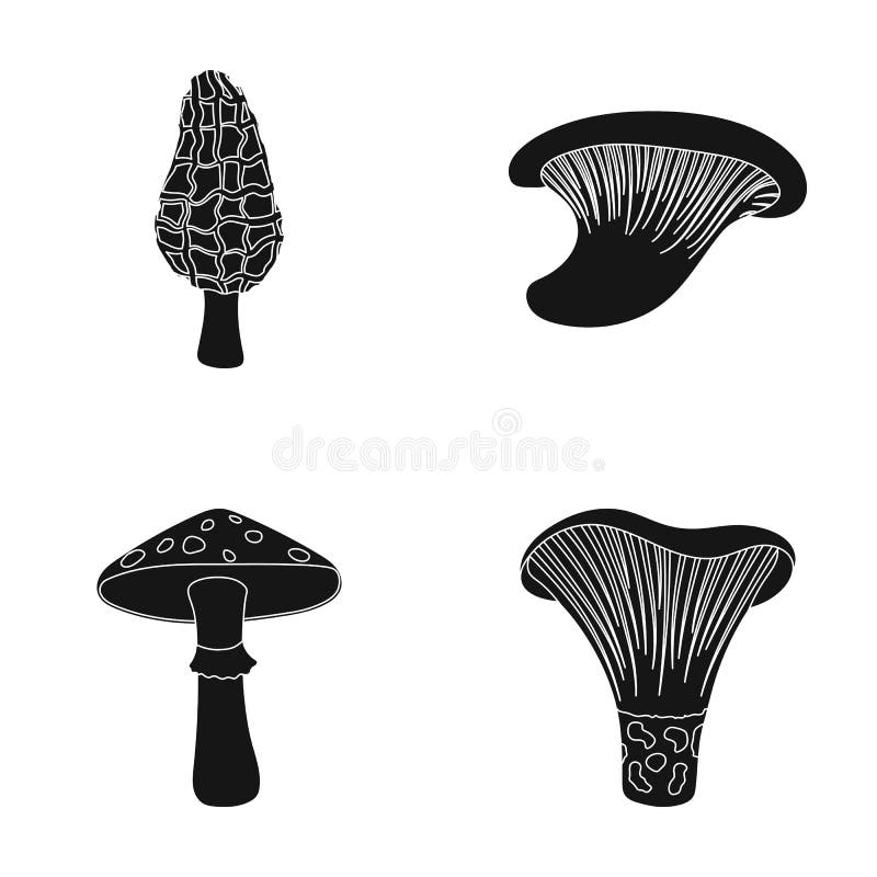 Morel, oyster, green amanita, actarius indigo.Mushroom set collection icons in black style vector symbol stock stock illustration