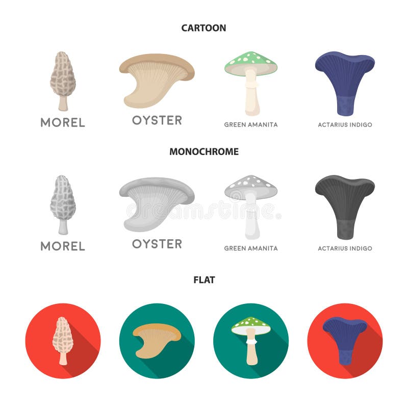Morel, oyster, green amanita, actarius indigo.Mushroom set collection icons in cartoon,flat,monochrome style vector royalty free illustration