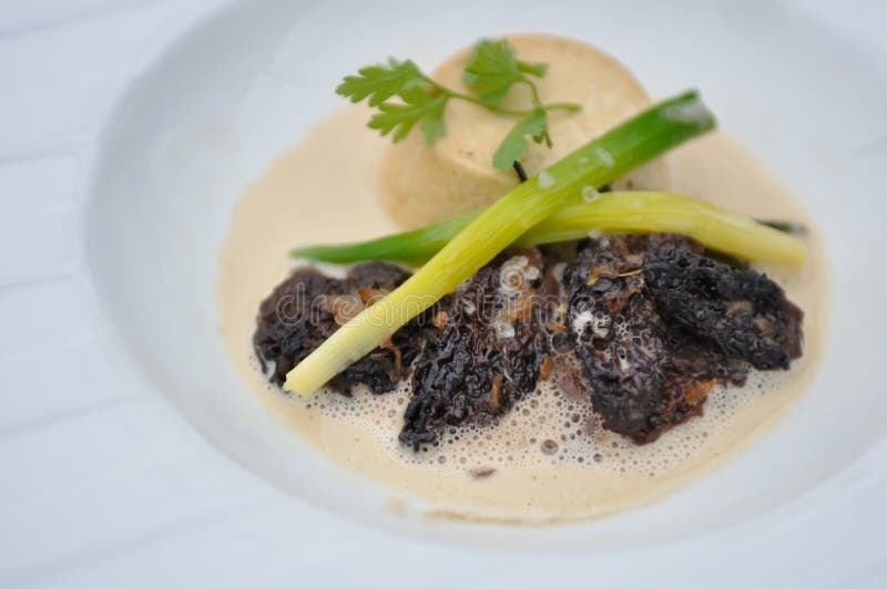 Morels com molho imagens de stock Morels com molho imagens de stock