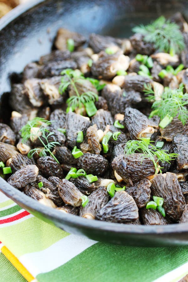 Morels and onions stock photo. Image of fried, department 31083090