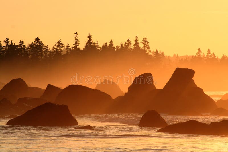 Rugged shore of White Point Beach, Nova Scotia. Rugged shore of White Point Beach, Nova Scotia