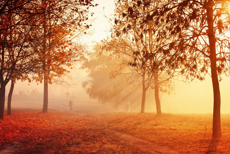 Morgenherbstnebel in den Schatten der Orange lizenzfreie stockfotografie Morgenherbstnebel in den Schatten der Orange lizenzfreie stockfotografie