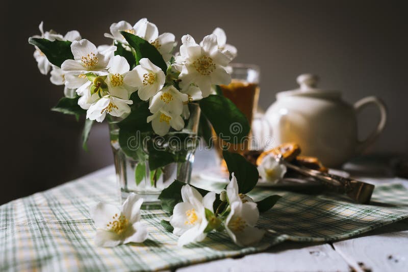 Morgenstillleben mit frischen Jasminblumen stockfoto Morgenstillleben mit frischen Jasminblumen stockfoto